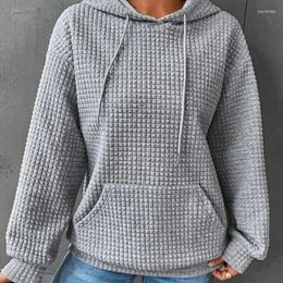 Sweat à capuche pour femmes, automne, col rond, manches longues, couleur unie, décontracté, hauts amples, vêtements pour femmes