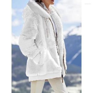 Veste à capuche pour femmes, veste chaude en peluche avec poches, Streetwear, ample, manteau féminin, printemps-automne-hiver, 2023