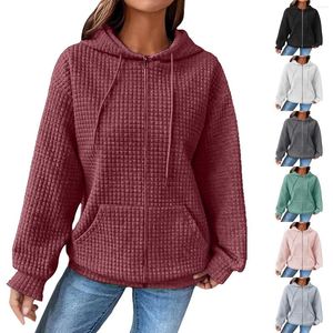 Sweats à capuche femme couleur unie chaîne manches longues lambrissé léger femmes pull sweat robe fermeture éclair tunique à capuche