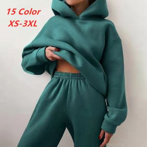 Dames hoodies sweatshirts dames tracksuit casual vaste lange mouw fleece warme capuchon sportswear suit hoody pullovers pant twee stukken sets 221207