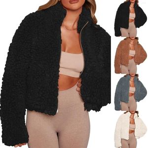 Sweat à capuche avec fermeture éclair pour femme, pull-over de couleur unie, manteau chaud en laine, veste polaire en fourrure, mode automne 2023