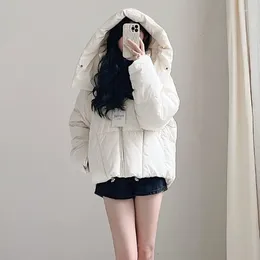 Vestes pour femmes Corée du Sud Dongdaemun Chic Automne et hiver Français Fermeture à glissière Taille à capuche en vrac avec du pain Veste en coton chaud
