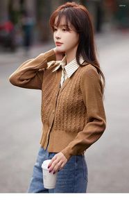 Tricots de tricots bruns bruns femmes tricot de printemps tricot