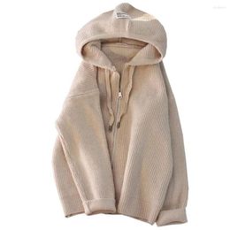 Suéter de punto para mujer, chaqueta cárdigan, primavera otoño 2023, con capucha, tejido suelto, abrigo informal con cremallera para mujer, prendas de vestir exteriores, Tops para mujer