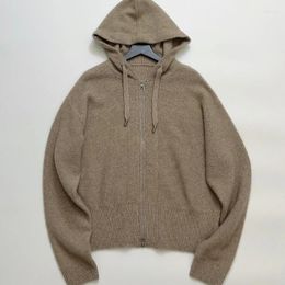 Cardigan à capuche avec fermeture éclair en cachemire doux pour femme, tricot, pull, automne et hiver, fil métallique, 2024