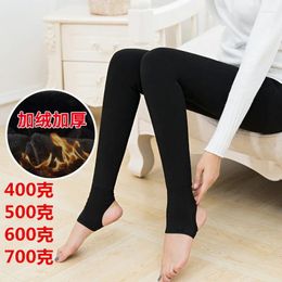 Leggings pour femmes 500g 600g épaissi pour l'hiver, pantalon chaud protégeant la taille avec un design en coton