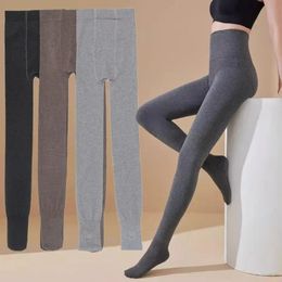 Dameslegging Winter Warme legging Dames Thermische broek voor dames Panty Sokken Fluwelen panty's Elastisch Dikkere kous Fleece gevoerd ondergoed 231215