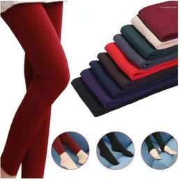 Leggings pour femmes femmes automne et hiver en velours mince taille haute couleur skinny colorant collants élastiques pantalon coton slim