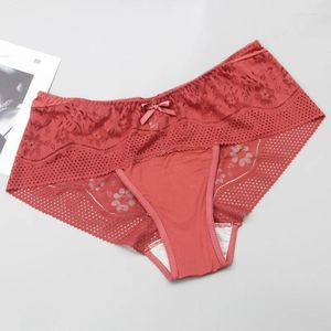 Bragas de mujer 2024 3 uds encaje XXL XXXL XXXXL ropa interior para mujer lencería íntima Sexy calzoncillos de algodón resbalones transparentes femeninos