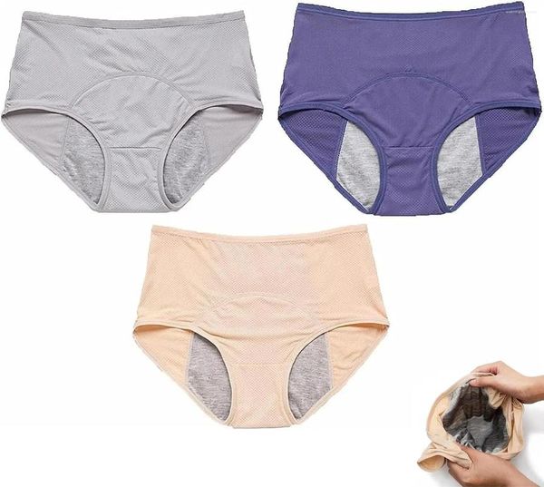 PALANDE FEMMES 3 SET PACK Everdries Feltroproof Ladies Underwear - pour plus de 60 # S Incontinence Pantalon respirant