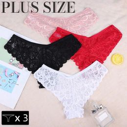 Damesslipje 3 stuks sexy dames plus size kanten ondergoed verleidelijk mooie slips lage taille lingerie transparante onderbroek