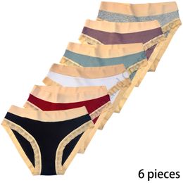 Dames slipje 6 stuks elasticiteit katoen ondergoed zachte comfortabele lingerie dames kanten slipje 45-100 kg hoge kwaliteit katoen sexy briefs 230516