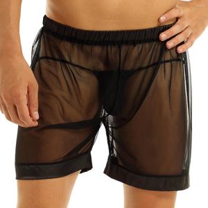 Culotte de femmes noires noires de maille de maille sexy des hommes