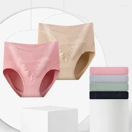 Culotte de femmes M-xxl haute taille pour les femmes enceintes de la maternité de la maternité