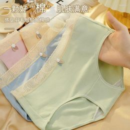 Damesslipje Puur katoenen ondergoed met antibacterieel kant Oversized gekamd Alle schattige meisjes Japanse stijl