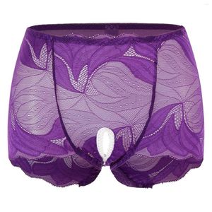 PALANTE DES FEMMES FEMANS SEXY SEXY OBEN CROTCH DE LACE Briefs