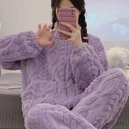 Damenhosen 2024 Flanell Solide Bequeme Pyjama-Sets Winter Ins Stil Stehkragen Reißverschluss Lange Ärmel Plüsch Und Verdickte Flauschige Pyjamas