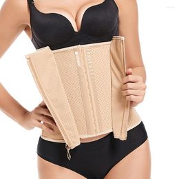 Shapers pour femmes Corset Gilet Boucle de côtes en acier Fermeture à glissière Ceinture de mise en forme / Entraîneur de taille / Réduction et ceintures pour femmes Ceinture amincissante