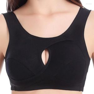 Soutien-gorge en coton sans couture respirant pour femmes, grande taille, sans jantes, sous-vêtement antichoc, brassière confortable