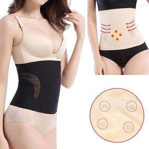 Shapers voor dames Afslankende riem Dames Waist Trainer Corset Body Shaper Modelling Strap M-3XL