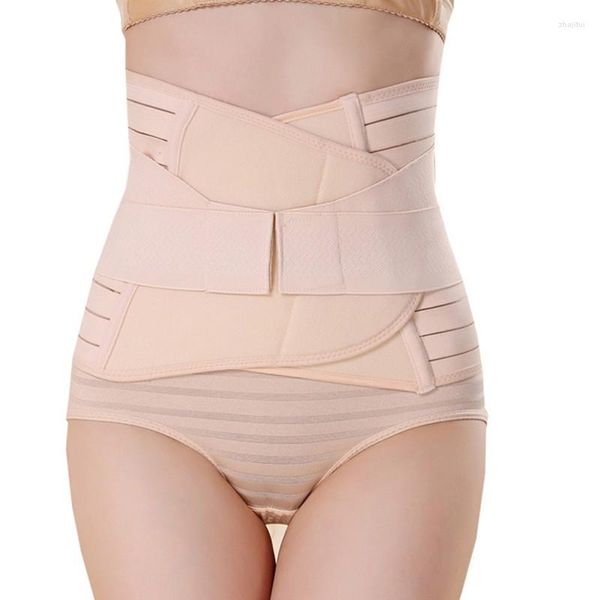 Shapers pour femmes Taille ajustable pour femmes Ceinture mince Soutien lombaire respirant Bretelles dorsales Souche musculaire Minceur Shapewear