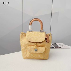 Les sacs à bandoulière pour femmes sont en vente à l'usine Olay nouveau sac à dos de banlieue Riya à rabat avec cordon de serrage Champagne Danning