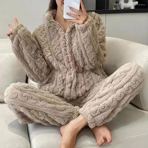Damesnachtkleding Pluche pyjamaset Gezellige winterpyjama met opstaande kraag Dikke warme homewear Jas Broek Effen kleur Ritssluiting