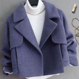 Abiti da donna 2024 Autunno/Inverno Versione coreana Giacca sportiva corta Statura Ragazza Cappotto Versatile Giacca di lana Rosa