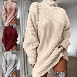 Pulls pour femmes 2023 col haut à manches longues robe pull tricotée femmes automne / vêtements d'hiver lâche top décontracté rose gris couleur unie Dres