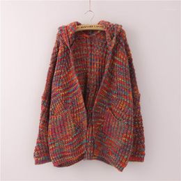 Suéteres para mujer, suéter de tendencia Dongdaemun de Corea para otoño e invierno 2022, cárdigan holgado con capucha de línea de flores de Color de talla grande