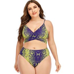 Maillots de bain pour femmes 2023 femmes Sexy Bikini ensemble Push Up femme maillot de bain nager séparé deux pièces brésilien maillot de bain grande taille 4XL