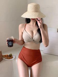 Swimwear Women's Korean Instagram Style Sexy Bikini Small Costhe Gathering Triangle Split Slim Fit Resort Spring Swimsuit Femme