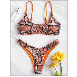 Dames Badmode Sexy Bikini Set Voor Vrouwen Push Up Vrouwelijk Badpak Slangenprint Zwemmen Apart 2-delig Braziliaans badpak 2024