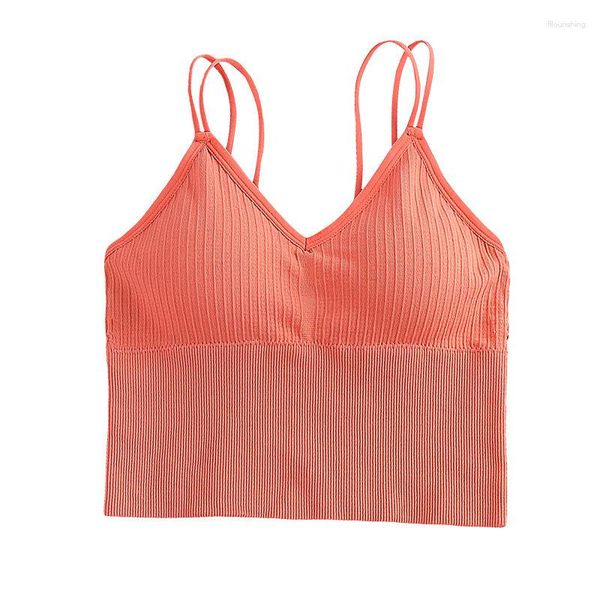 Maillots de bain pour femmes Femmes Sexy Sans couture Crop Tops Sports Bra Top Camisole avec sous-vêtements rembourrés amovibles Femme Tank Lingerie