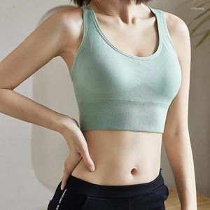 Tanks pour femmes sous-vêtements Sexy Sexe sans couture bralette avec pad bra push up coton tops lingerie brassiere wireless gilet