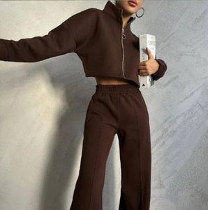 Survêtements pour femmes 2023 automne nouveau produit femmes ensemble couleur unie col rond pull à manches longues pull mode pantalons décontractés femmes deux pièces ensemble