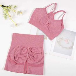 Les survêtements féminins chreisure se couvrent les sports sans couture pour femmes 2pcs yoga ensemble soutien-gorge de fitness avec shorts de vélo de gymnase