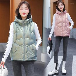 Trenchs de femmes grande poche automne et hiver version coréenne vers le bas coton gilet court brillant visage veste d'extérieur manteau débardeur