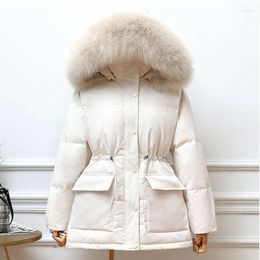 Trench-Coats pour femmes lzequella grande r￩elle raton laveur en fourrure ￠ capuche hivernale coul￩e de canard veste de canard femme courte bouffeur femelle imperm￩able