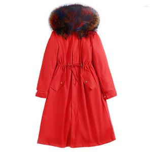 Trenchs pour femmes vente en gros grande quantité mode femmes Parka Rex lapin fourrure doublure violet à capuche fourrure raton laveur veste