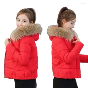 Vrouwen Trenchcoats Winter Katoenen Jas Overjas Parka Korte Slanke MS Down Katoenen Kleding Bovenkleding Grote Bontkraag Dikker jas