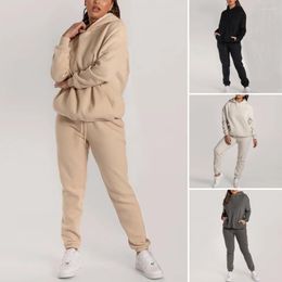 Женские брюки из двух предметов, 2 шт./компл., шикарный комплект с капюшоном, спортивная одежда, осенние спортивные штаны, костюм с накладным карманом с капюшоном, зима, сохраняет тепло