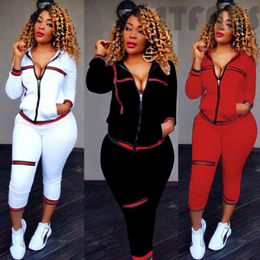 Tweedelige broek voor dames 2 stks set dames tracksuit sport slijtage zweetpak hoodie sweatshirt casual herfst lange mouw o-neck plus sizewomen's