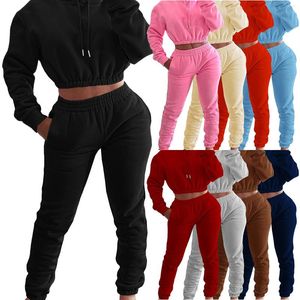 Pantalon deux pièces pour femme Cropped Top Pullover Hoodie Ladies Track Suit 2 Set Women Outfit Fleece Pant Sweatsuit Streetwear Hoodies Jogging