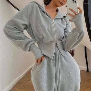 Ensemble deux pièces pour femmes, pantalon Long, sweat-shirt, ample, taille haute, sweat à capuche, Double fermeture éclair, tendance, décontracté, deux pièces, automne