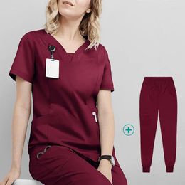 Pantalons de pantalons en deux pièces pour femmes Tops 2 pcs sets femmes travaillant uniforme à manches courtes chemisier en V V-cours tuniques