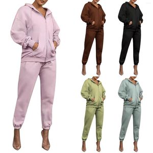 Femmes deux pièces pantalons couleur unie Cardigan à capuche décontracté H pull à manches longues ensemble tisserands pantalons costumes pour femmes