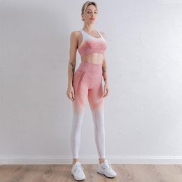 Pantaloni a due pezzi da donna Abbigliamento da yoga estivo Senza cuciture Reggiseno sportivo per la schiena di bellezza Pantaloni ad asciugatura rapida Gilet da corsa a vita alta Corsetto indoor