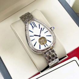 Dameskijk Twee pincode Twee pin groot vliegwiel Mechanisch horloge saffier spiegel koude zilveren witte slangenkop unieke persoonlijkheid diamanten wijzerplaat luxe horloge