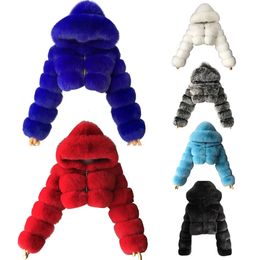 Mélanges de laine pour femmes veste en peluche de fourrure épaisse en vrac femmes filles mode hiver fausse fourrure manteau court moelleux fermeture éclair à capuche veste courte chaude 231021